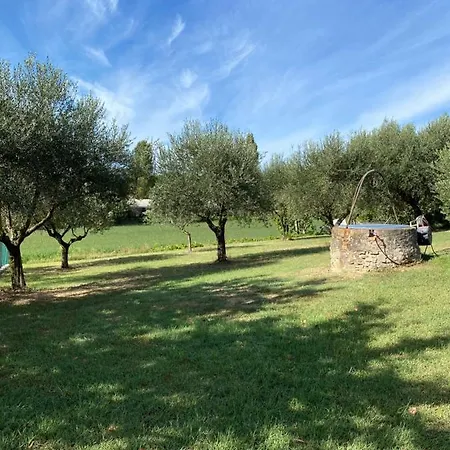 Ex Mulino מיסאנו אדריאטיקו